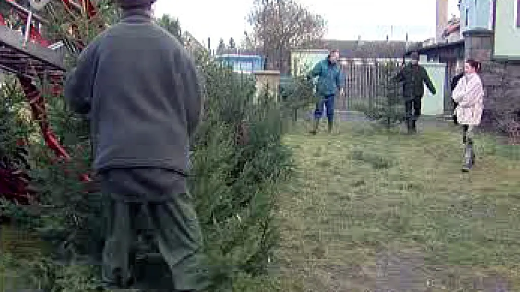 Prodej vánočních stromků