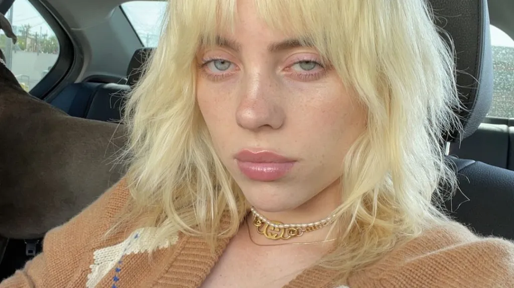 Zpěvačka Billie Eilish