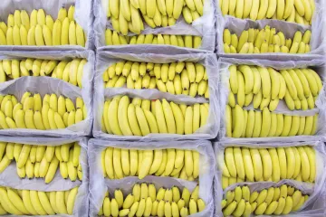 Spojené banánové království – Chiquita kupuje Fyffes