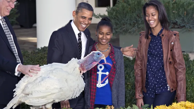 Obama tradičně omilostnil jednoho z krocanů