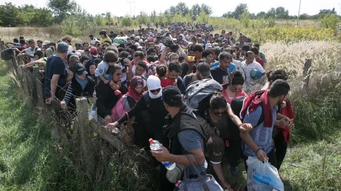Uprchlíci na srbsko-maďarské hranici