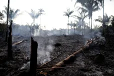 Brazílie je kvůli Amazonii pod tlakem. Za prales bojují i celebrity, často ale zavádějícími fotkami