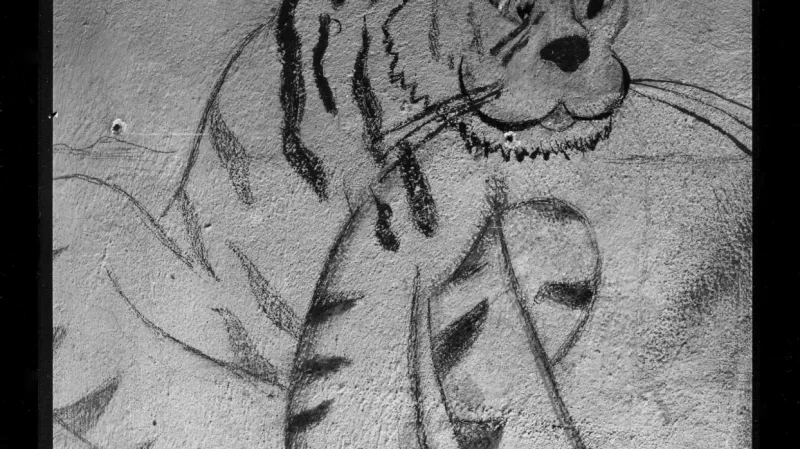 Z výstavy Svědectví terezínských zdí