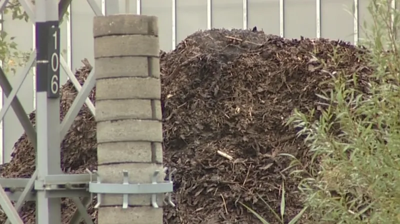 Továrna na výrobu dřevní štěpky v Hodoníně