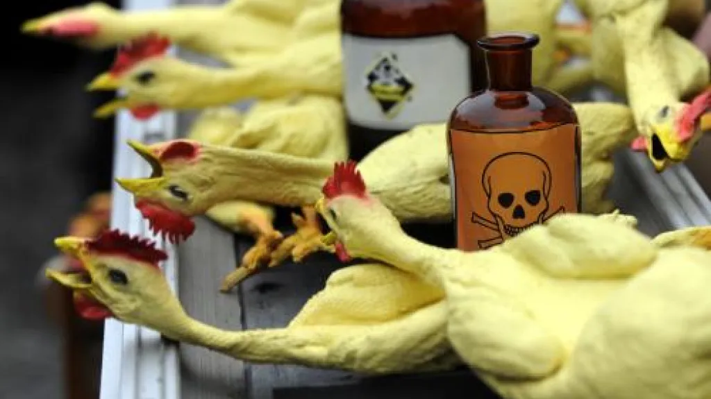 Ne německým dioxinům