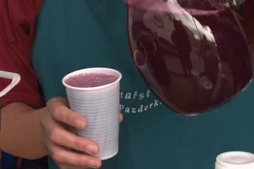 Znojemské vinobraní bude i letos bez tvrdého alkoholu
