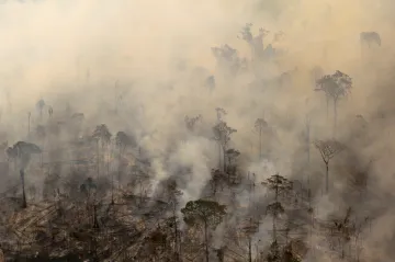 Ve světě loni zemřelo 227 ekologických aktivistů, čtvrtina z nich v Kolumbii