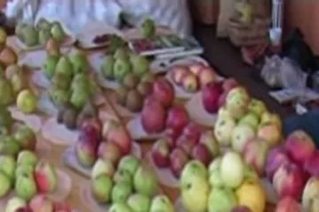 Jablečné slavnosti v Hostětíně