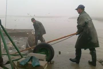 Přípravy na víkendové výlovy rybníků vrcholí