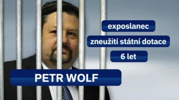 Petr Wolf
