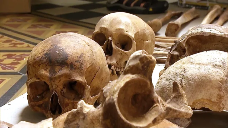 Ostatky Přemyslovců z olomoucké kaple svatého Štěpána v Klášterním Hradisku