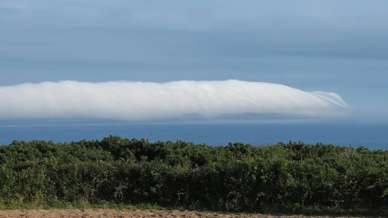 Stratocumulus volutus