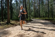 V lese u Hradce Králové mají běžci nový okruh ze štěpky a pilin. Podobné jsou ve Skandinávii