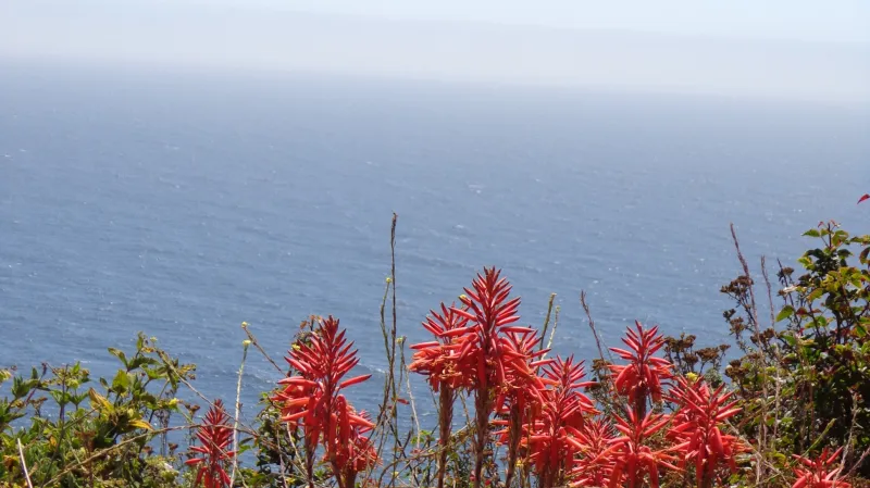 Cesta po kalifornské Highway One