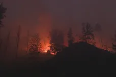 Soutěsky Kamenice jsou i rok po požáru z velké části uzavřené. Zůstane to tak i nadále