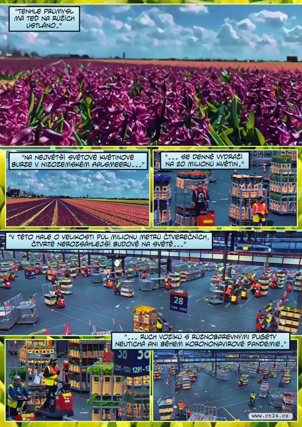 Roste zájem o květiny. Lidé se více věnují jejich pěstování