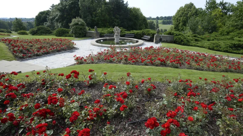 Lidický růžový sad