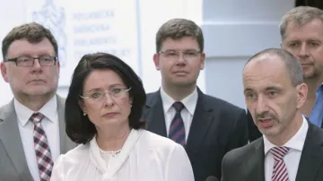 Kandidátkou ODS na premiérku je Němcová