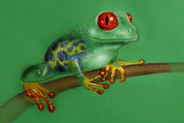 Na ochranu přírody jdou miliardy. Smysl to má, opatření fungují, dokázala rozsáhlá studie