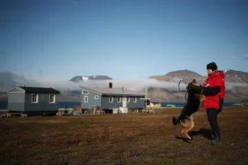Na arktických Špicberkách padl teplotní rekord, naměřili tam téměř 22 stupňů