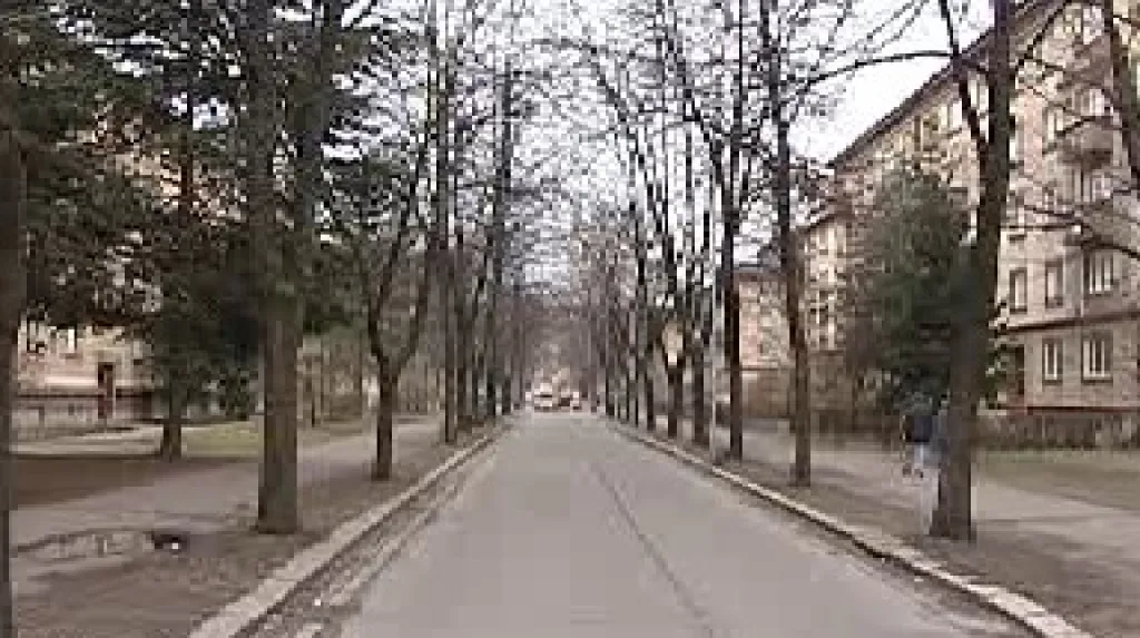 Lipová alej v Jilemnického ulici