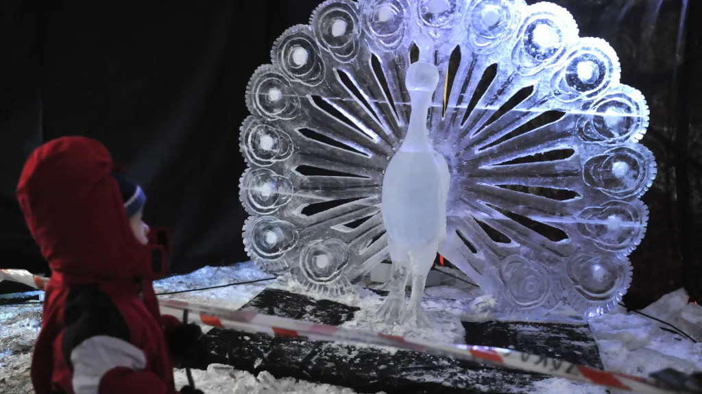 Ledový Páv od sochaře Jakuba Vlčka