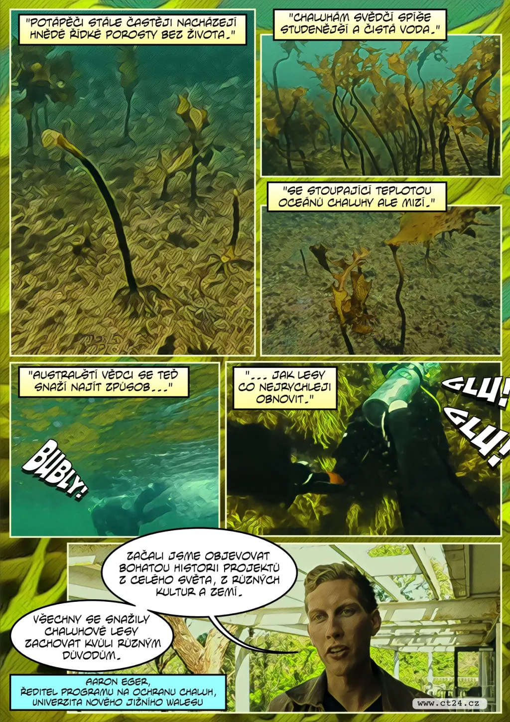 Boj s úhynem chaluh