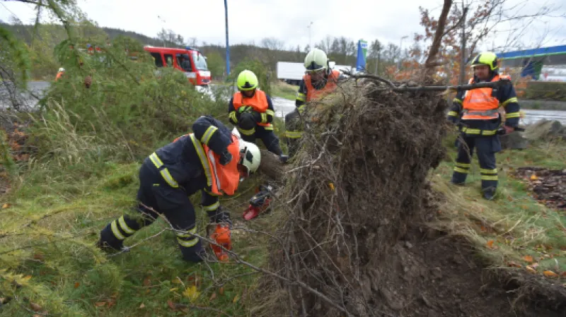 Hasiči odklízejí vyvrácený strom v Karlových Varech Zdroj: ČTK