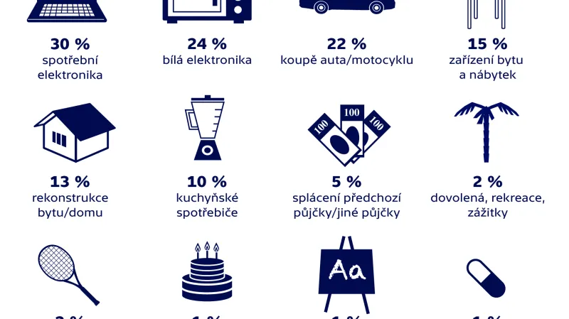 Na co si Češi půjčují