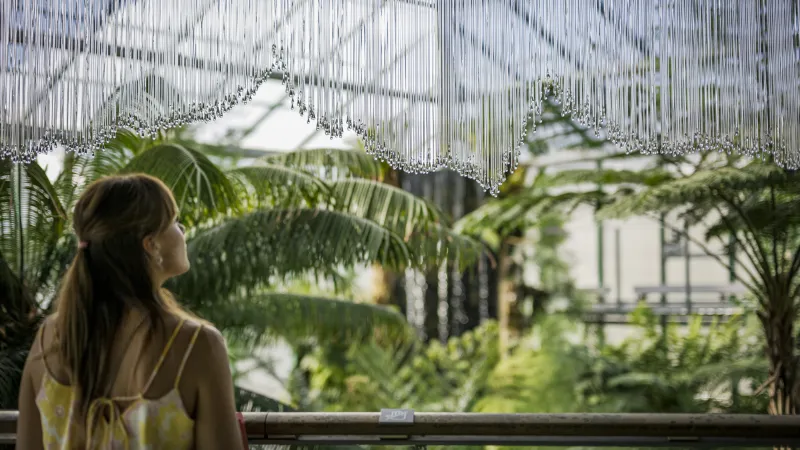 Z výstavy Květy ohně