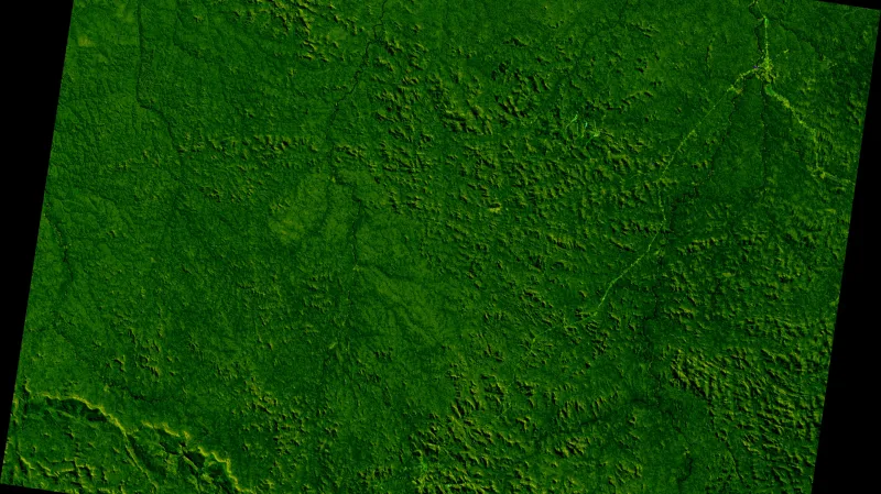 Deforestace ve státě Rondonie v letech 1975–2001