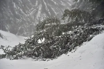 Výstraha před silným větrem trvá. Na severozápadě Česka navíc hrozí náledí