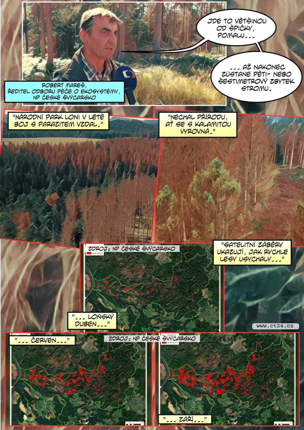 Kůrovec v Českém Švýcarsku