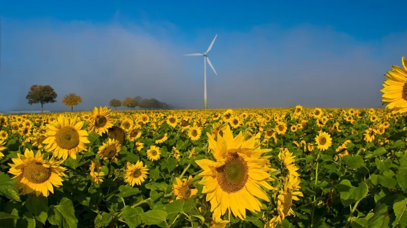 Větrná elektrárna