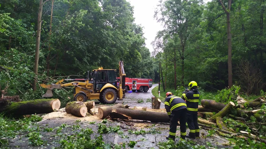 Hasiči v Karlovarském kraji po silné bouřce odklízeli popadané stromy a větve