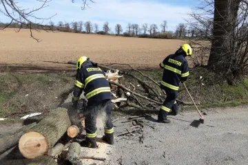 Silný vítr v několika krajích lámal stromy a brzdil dopravu