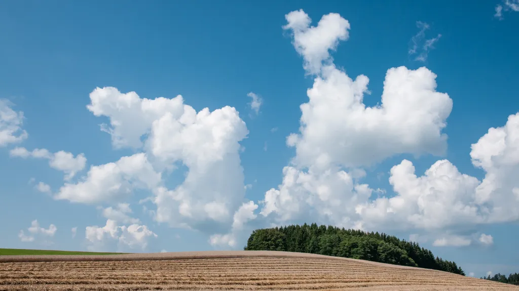 Ilustrační snímek