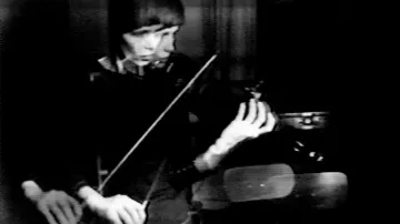 Steina Vasulka / Violin Power, 1969–1978, Galerie Berg Contemporary (Island) a autorka