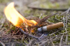 Kvůli suchu hrozí v celém Česku požáry. Praha zakázala kouření i ohně v parcích a zahradách