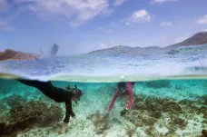 Jak kyselý je oceán? Vědci zkoumají vliv těžařů na korálové útesy