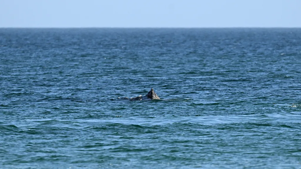 Keporkak poblíž německého pobřeží na snímku z 27. 3. 2026