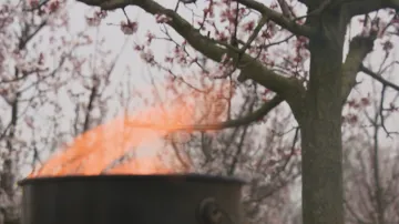 Ovocnáři chrání stromy před mrazy speciálními svícemi