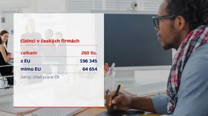 Cizinci v českých firmách