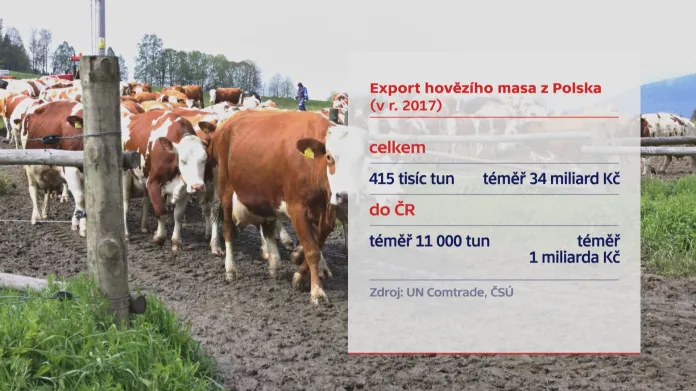 Export hovězího masa z Polska (v r. 2017)