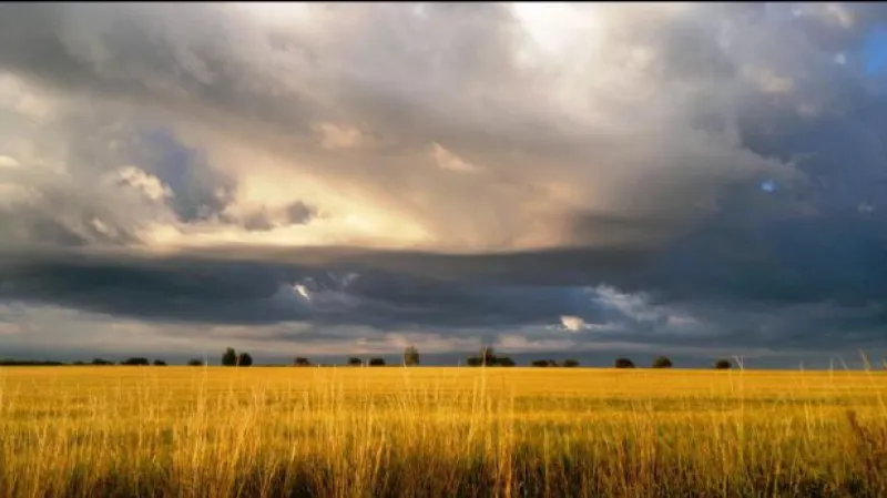 Reportáž Zuzany Mašátové