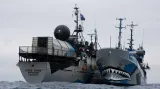 Plavidla organizace Sea Shepherd