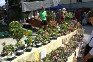 Krakonošova tržnice přilákala tisíce lidí