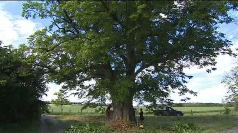 Krajinářský architekt Samuel Burian hostem Studia 6