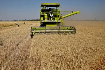 Cena pšenice začala na burze v Chicagu růst. Reaguje na indický zákaz vývozu 