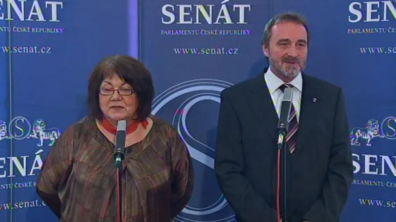 Brífink k veřejnému slyšení v Senátu o Klausově amnestii